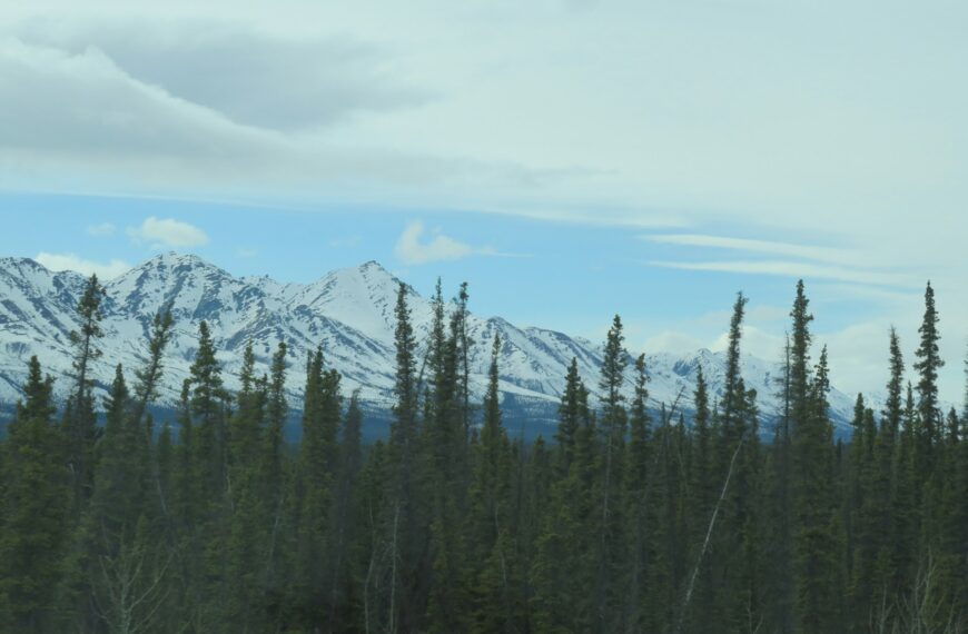 off-grid-living-in-the-northwest-territories