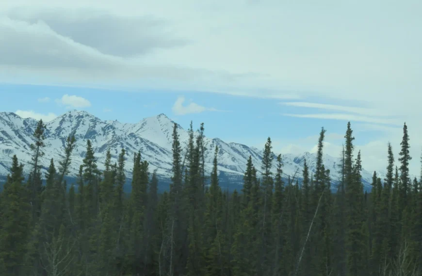 Off-Grid Living in the Northwest Territories (Is it Possible?)