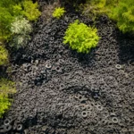 Top 9 Pros and Cons of Rubber Mulch