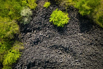 Top 9 Pros and Cons of Rubber Mulch