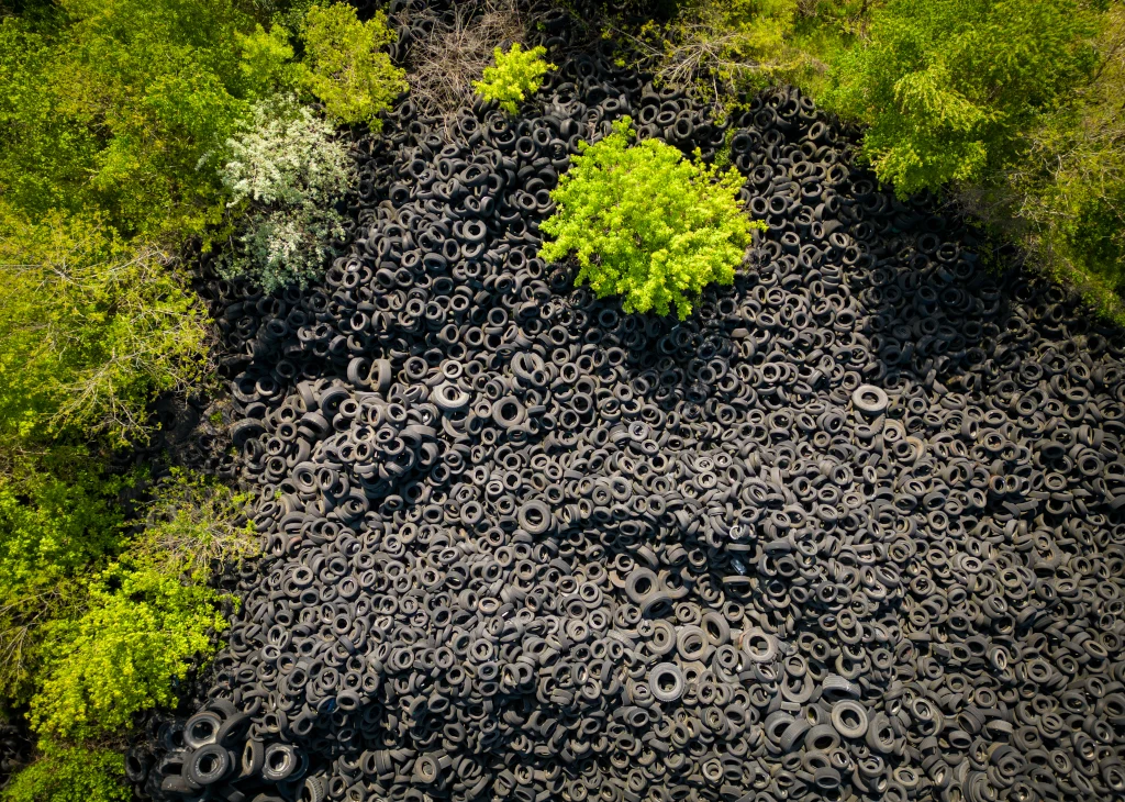 Top 9 Pros and Cons of Rubber Mulch