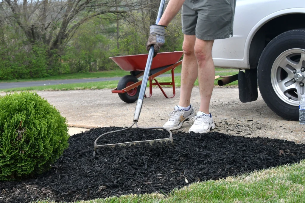 pros-and-cons-of-rubber-mulch1