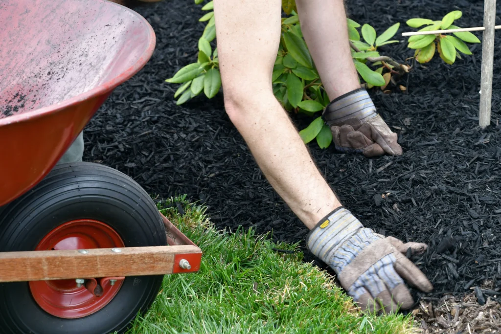 pros-and-cons-of-rubber-mulch2