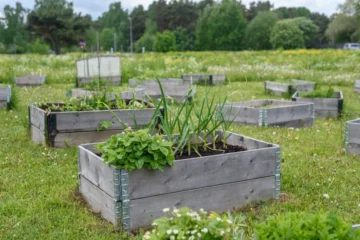 replace raised bed soil