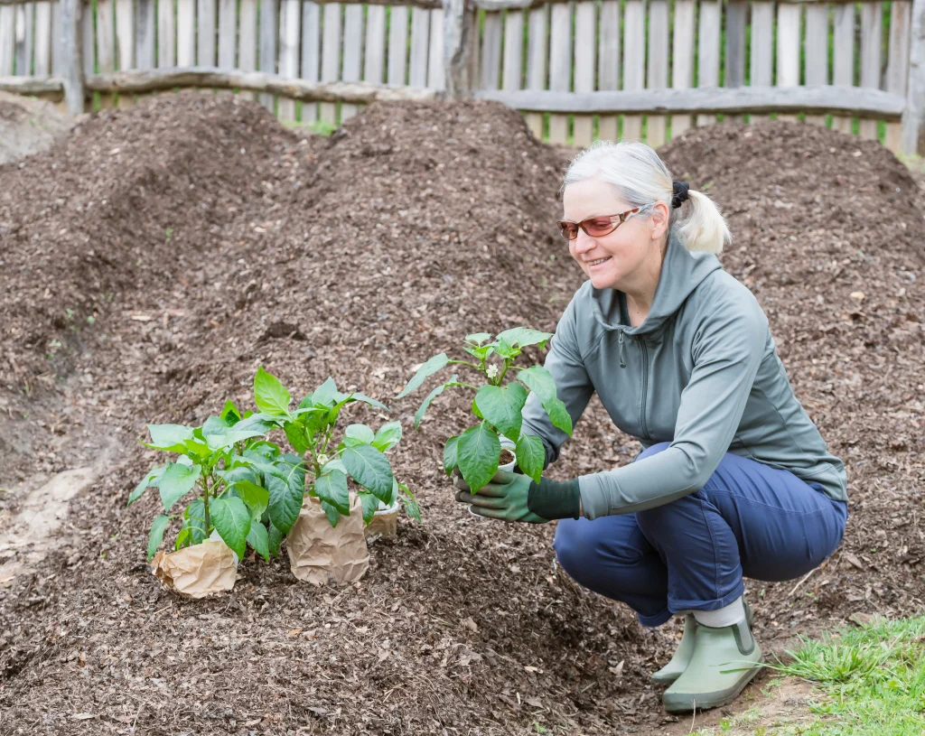 gardener-with-bell-pepper-seedlings