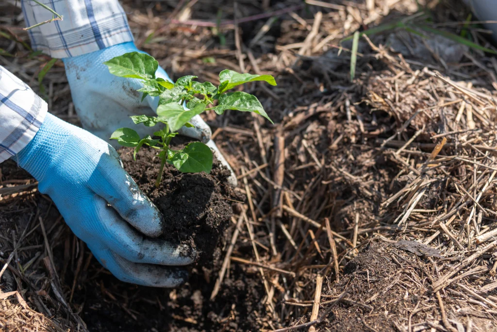 what is the best mulch for flower beds