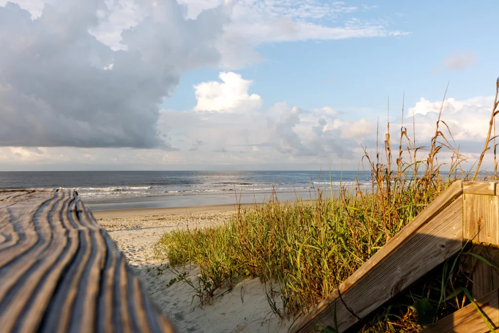 where-to-live-off-grid-in-south-carolina