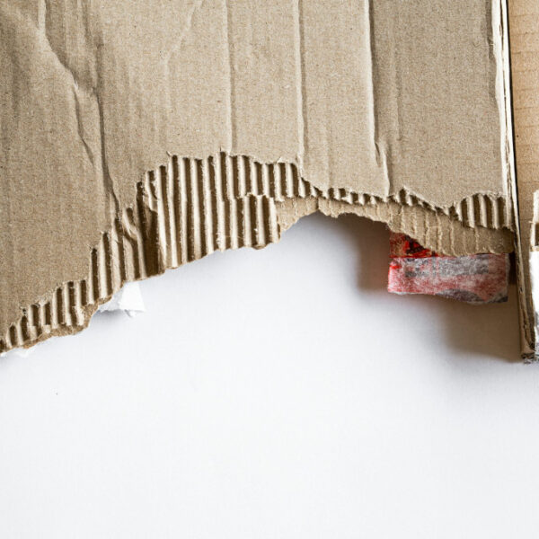 make shredded cardboard mulch