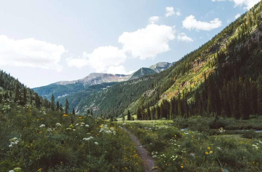 Off-Grid Living in Colorado (Everything You Need to Know)