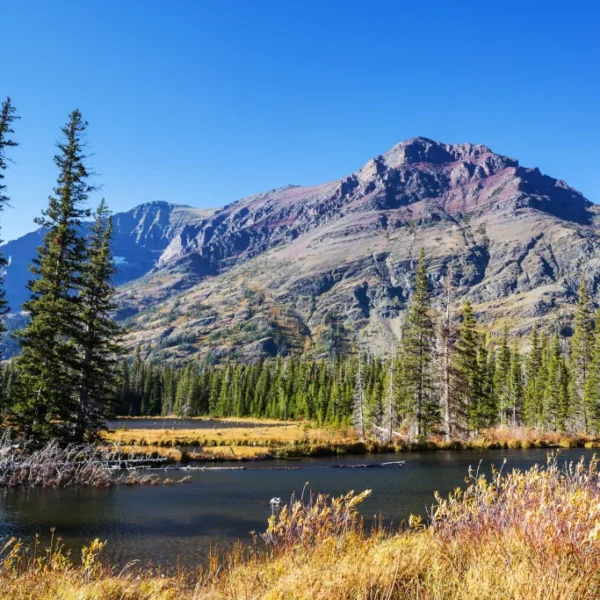 Is Living Off-Grid in Montana Possible? (Complete Guide)