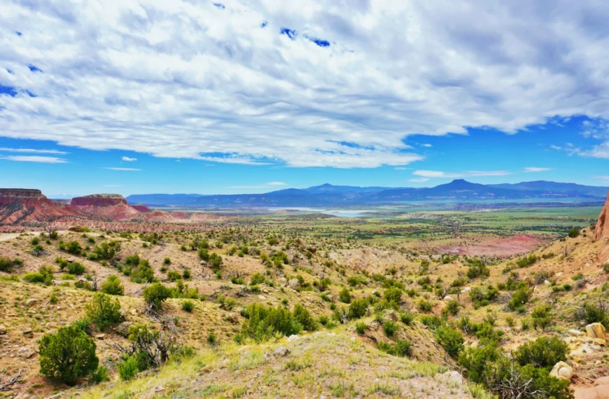 The Best States for Off-Grid Living in the U.S. (and the Worst Ones to Avoid)