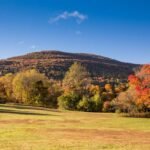 Living Off Grid in New York