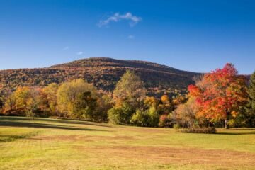 Living Off Grid in New York