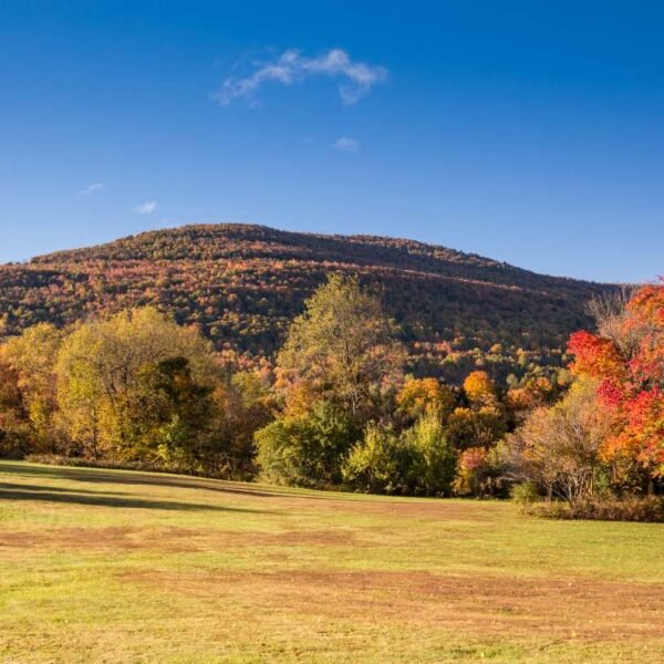 Living Off Grid in New York