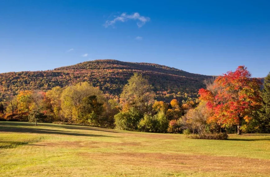 Living Off Grid in New York