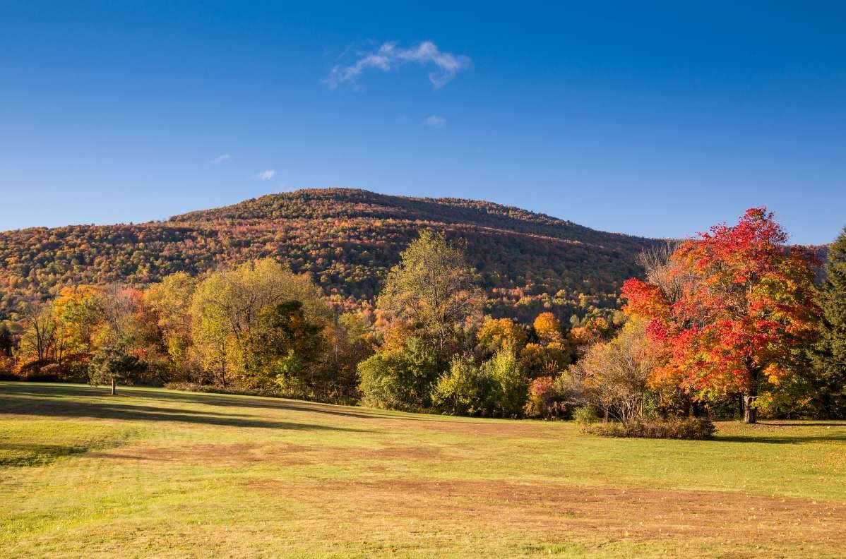 Living Off Grid in New York